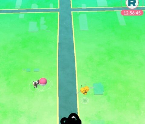 【ポケモンGO】田舎GO民のプレイ環境