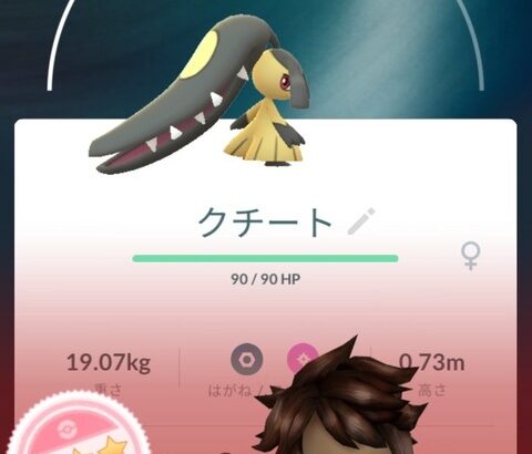 【ポケモンGO】何故か何度も「100％個体」を取ってるポケモン