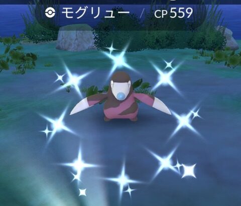 【ポケモンGO】ドリュウズは有能アタッカー、持って無いなら今の内に集めたい！