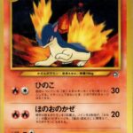 俺「ポケモン好きなんだ？^^一番好きなポケモンは？^^」甥っ子「マグマラシ！！！！！！」