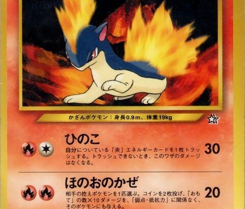 俺「ポケモン好きなんだ？^^一番好きなポケモンは？^^」甥っ子「マグマラシ！！！！！！」