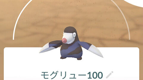 まさか100％モグリュー出るとは思わなかった！アドベンチャーウィーク ポケモンGO