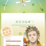 【ポケモンGO】「ジム・レイド・ロケット団」でしか運用しか想定されない場合”攻撃F”に拘るのは無意味