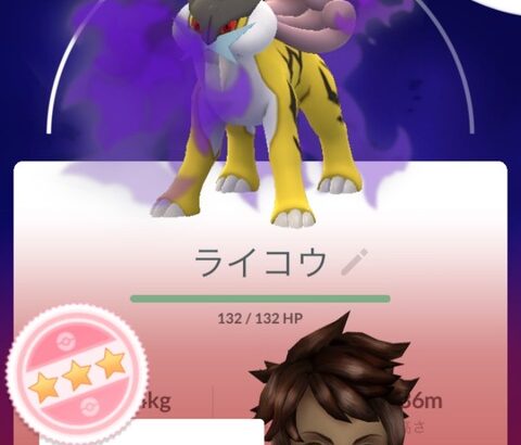 【ポケモンGO】シャドウライコウがでんきタイプ2位の攻撃性能に