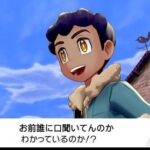 【ポケモンSV】今作より剣盾の方がグラフィック綺麗と思うの俺だけ？