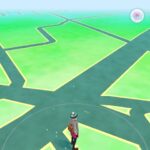 【ポケモンGO】「田舎プレイヤー」のポケGO事情