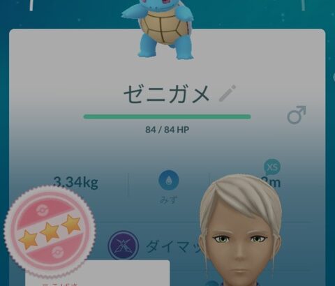 【ポケモンGO】ポケGO自慢マナー「ダイマックス個体FFFゲット！」敵「ほーん？俺の帽子FFF(非ダイマ）」に勝てるの？