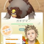 【ポケモンGO】ノーマルタイプおひろめ、ガチグマが天下取る