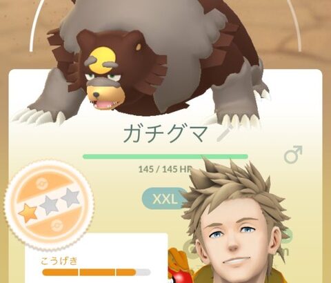 【ポケモンGO】ノーマルタイプおひろめ、ガチグマが天下取る