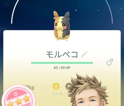 【ポケモンGO】2024ハロウィンpart１は何を狙うべき？モルペコ？ミカルゲ？