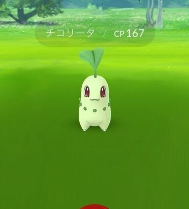 【ポケモンGO】チコリータのシャドウ１００って使える？