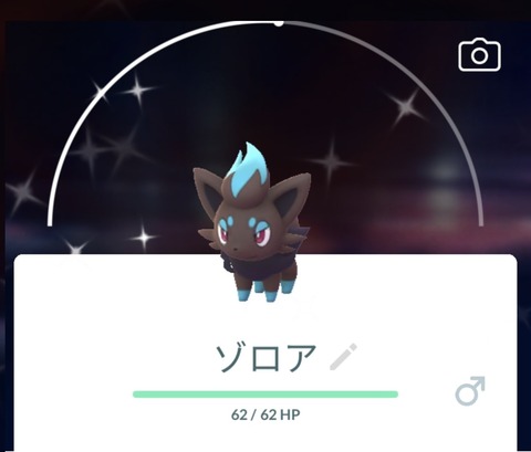 【ポケモンGO】「色違いのゾロア」色違いかどうかは捕まえないと判別できない注意！