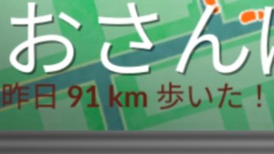 【ポケモンGO】「お散歩隊長」最大何キロの奴見た事ある？