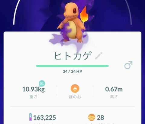 【ポケモンGO】お年寄りは「ポケモンの個体値」で一喜一憂！100％個体のアハ体験で脳が活性化？