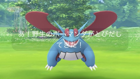 【ポケモンGO】ポケGOの「ボーマンダ」影が薄すぎる