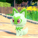 猫ポケモンの最終が可愛く無くなる率の高さ