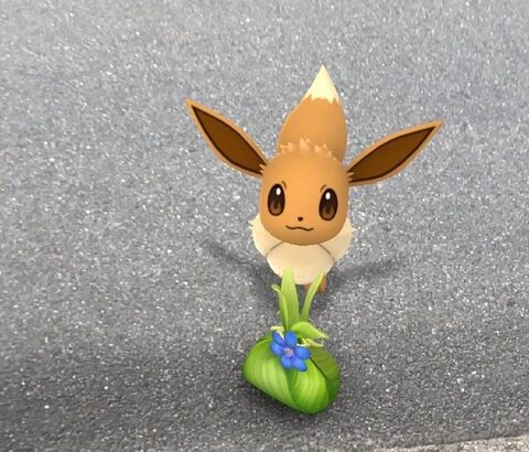 【ポケモンGO】「ブイズジム」地元じゃこういう遊びしてる奴居なくなった様な…お前らの地元じゃどう？