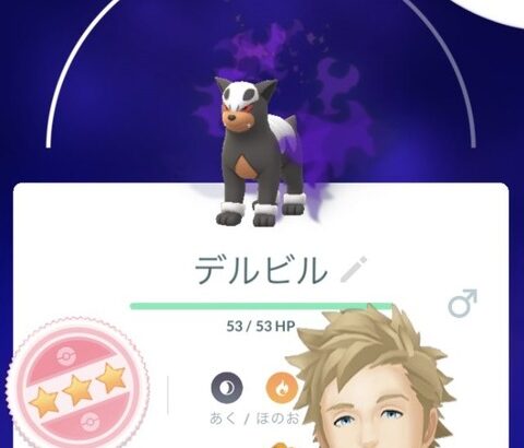 【ポケモンGO】シャドウ？リトレーンって何？初心者の質問アレコレ