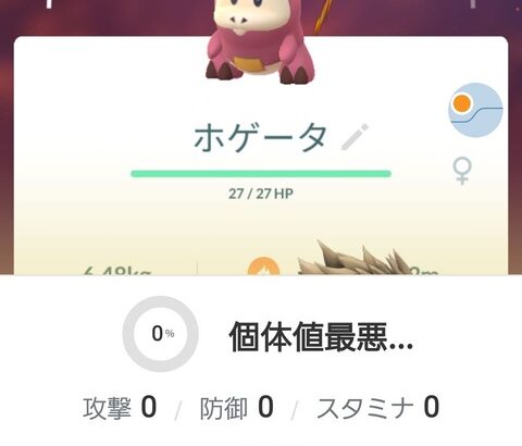 【ポケモンGO】最弱コレクター