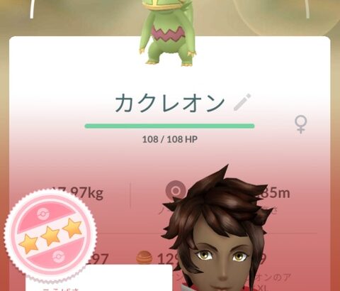 【ポケモンGO】使い道がない「100％個体」自慢会場！！